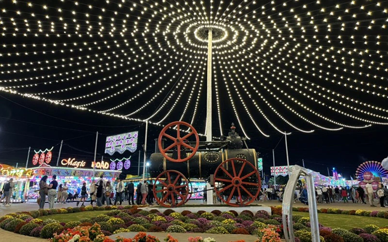 Fotografía de Feria de San Pedro de Alcántara