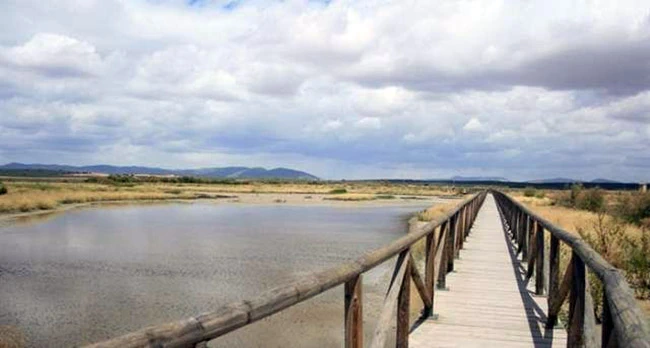 La Laguna de Fuente de Piedra
